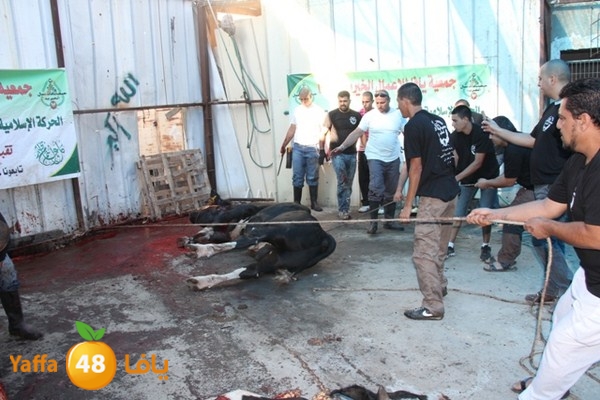 ada7y 116 n1 (41).JPG